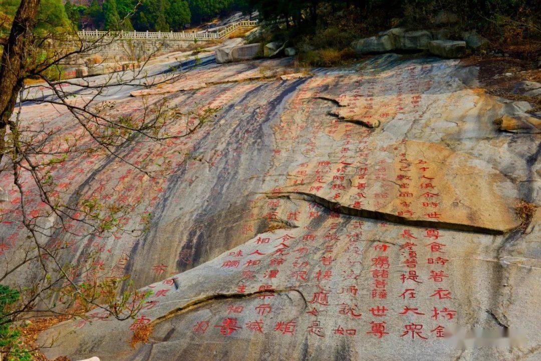 极越汽车与 SAA 吉诺救援合作，提供 7*24小时救援服务