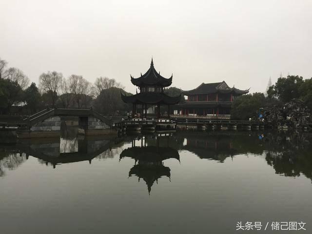 植物大战僵尸4